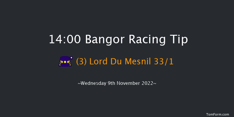 Bangor 14:00 Handicap Chase (Class 2) 24f Tue 25th Oct 2022