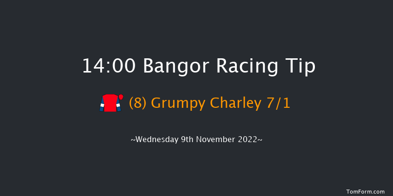 Bangor 14:00 Handicap Chase (Class 2) 24f Tue 25th Oct 2022