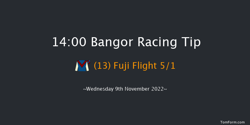 Bangor 14:00 Handicap Chase (Class 2) 24f Tue 25th Oct 2022