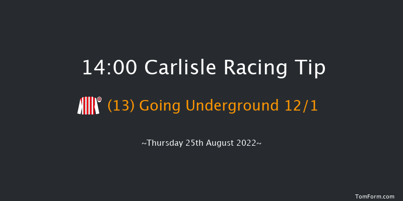 Carlisle 14:00 Handicap (Class 5) 9f Fri 19th Aug 2022