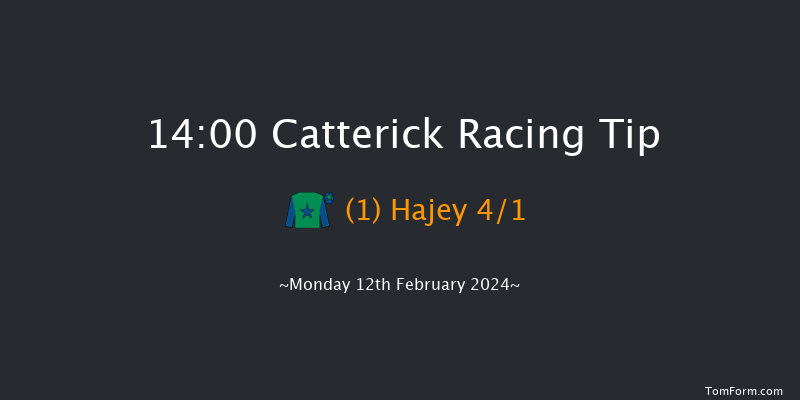 Catterick  14:00 Handicap Hurdle (Class 4)
19f Fri 2nd Feb 2024