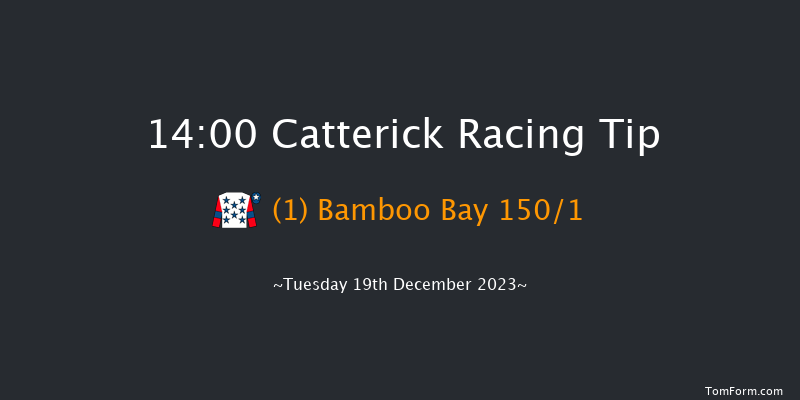 Catterick 14:00 Maiden Hurdle (Class 4) 19f Fri 24th Nov 2023