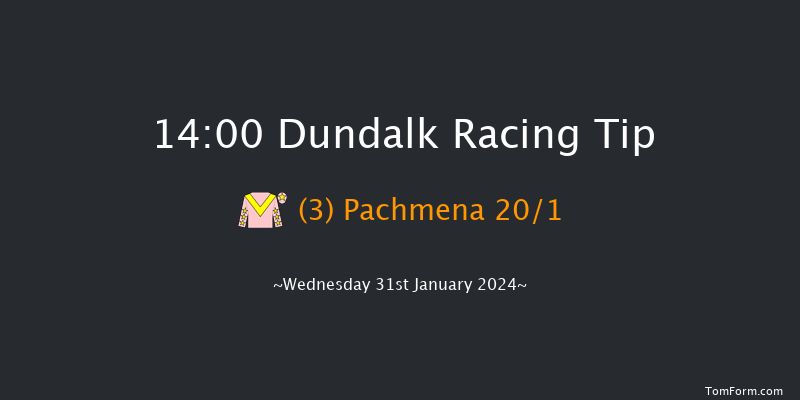 Dundalk  14:00 Handicap 11f Fri 26th Jan 2024