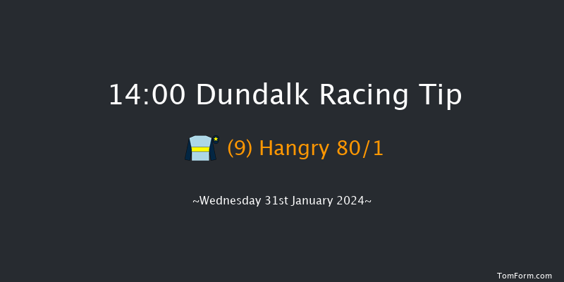 Dundalk  14:00 Handicap 11f Fri 26th Jan 2024