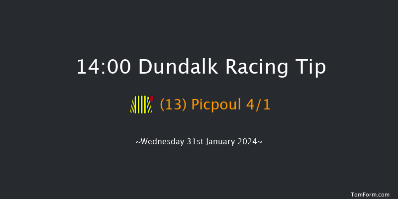 Dundalk  14:00 Handicap 11f Fri 26th Jan 2024