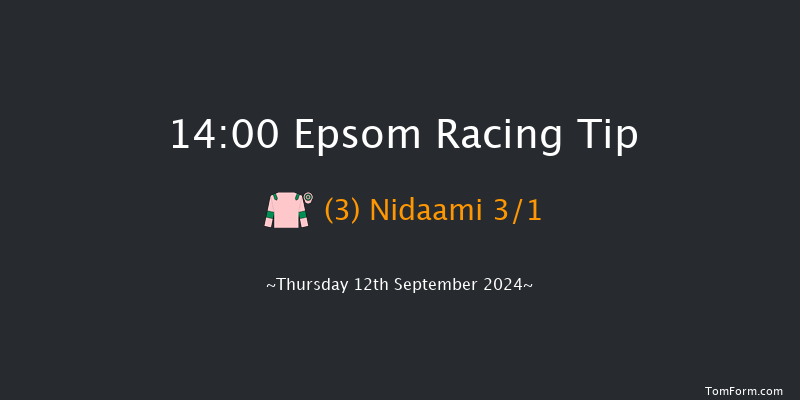 Epsom  14:00 Stakes (Class 4) 7f Mon 26th Aug 2024