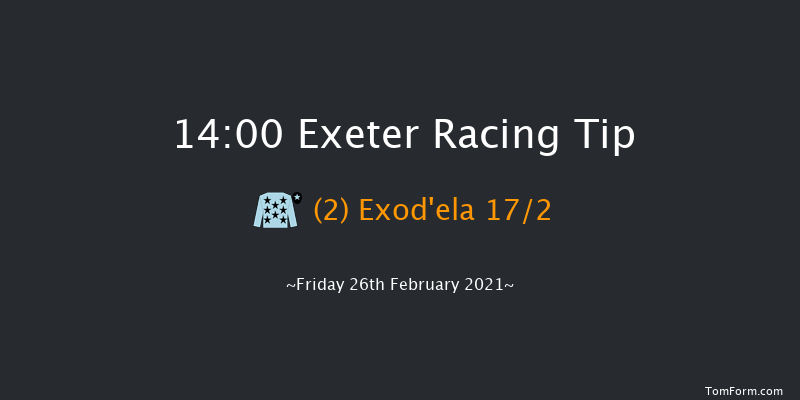 Chudleigh Handicap Hurdle Exeter 14:00 Handicap Hurdle (Class 4) 23f Sun 14th Feb 2021