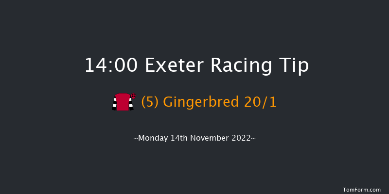 Exeter 14:00 Maiden Hurdle (Class 4) 17f Fri 4th Nov 2022