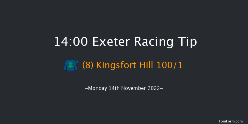 Exeter 14:00 Maiden Hurdle (Class 4) 17f Fri 4th Nov 2022