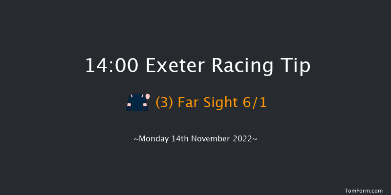 Exeter 14:00 Maiden Hurdle (Class 4) 17f Fri 4th Nov 2022