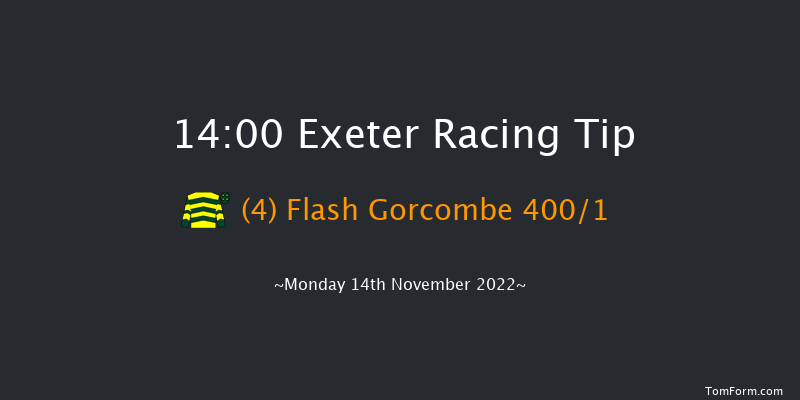 Exeter 14:00 Maiden Hurdle (Class 4) 17f Fri 4th Nov 2022