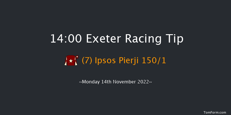 Exeter 14:00 Maiden Hurdle (Class 4) 17f Fri 4th Nov 2022