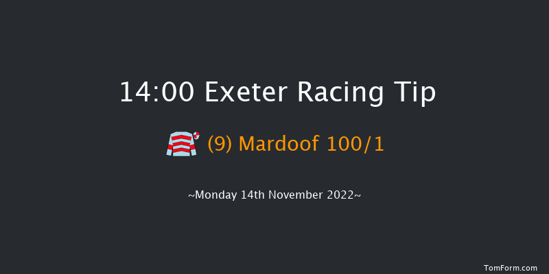 Exeter 14:00 Maiden Hurdle (Class 4) 17f Fri 4th Nov 2022