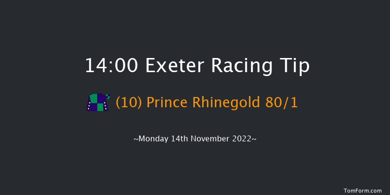 Exeter 14:00 Maiden Hurdle (Class 4) 17f Fri 4th Nov 2022