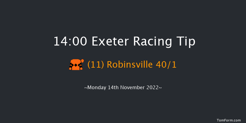 Exeter 14:00 Maiden Hurdle (Class 4) 17f Fri 4th Nov 2022