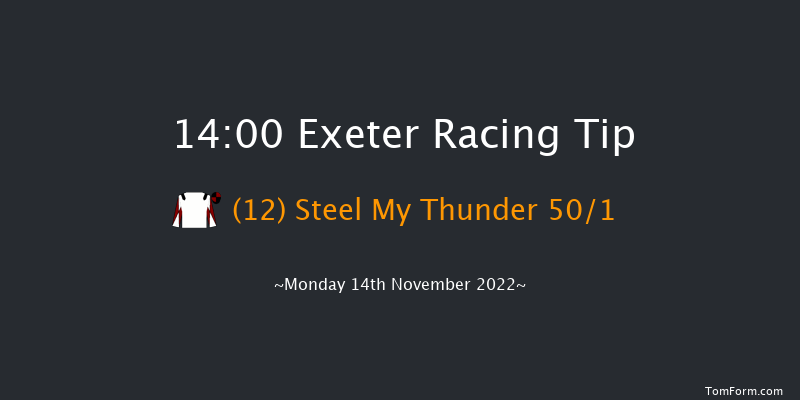 Exeter 14:00 Maiden Hurdle (Class 4) 17f Fri 4th Nov 2022