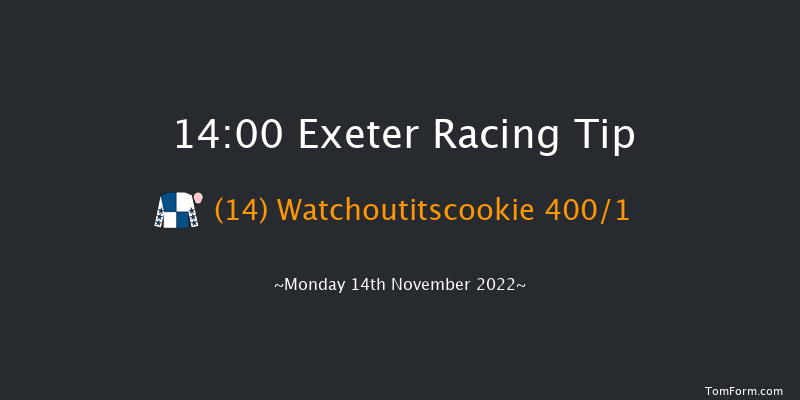 Exeter 14:00 Maiden Hurdle (Class 4) 17f Fri 4th Nov 2022