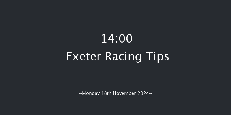 Exeter  14:00 Handicap Hurdle (Class 4) 23f  Fri 8th Nov 2024