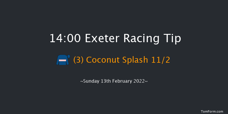 Exeter 14:00 Novices Chase (Class 3) 19f Wed 2nd Feb 2022