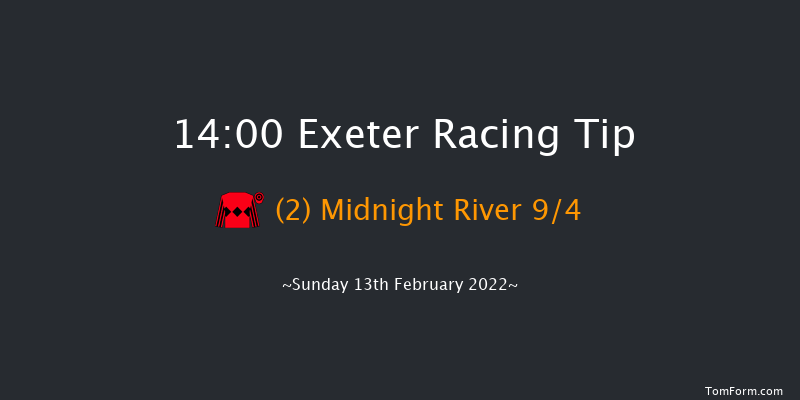 Exeter 14:00 Novices Chase (Class 3) 19f Wed 2nd Feb 2022