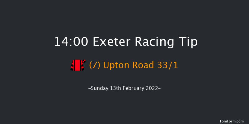 Exeter 14:00 Novices Chase (Class 3) 19f Wed 2nd Feb 2022