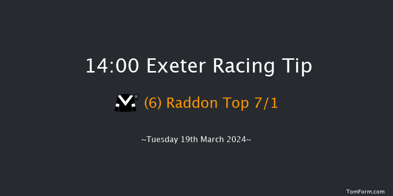 Exeter  14:00 Handicap Hurdle (Class 4) 23f Fri 8th Mar 2024