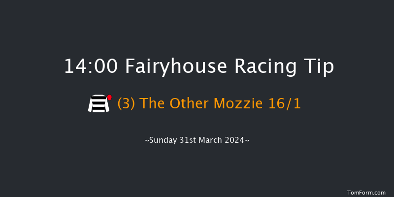 Fairyhouse  14:00 Handicap Hurdle 20f Sat 30th Mar 2024