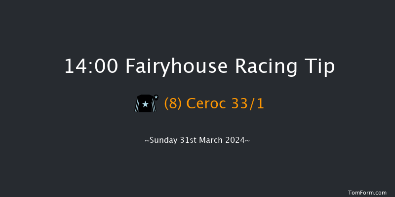 Fairyhouse  14:00 Handicap Hurdle 20f Sat 30th Mar 2024