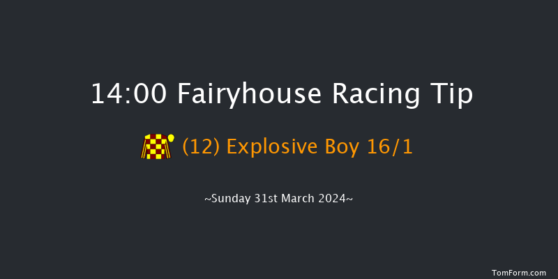 Fairyhouse  14:00 Handicap Hurdle 20f Sat 30th Mar 2024