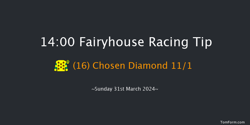 Fairyhouse  14:00 Handicap Hurdle 20f Sat 30th Mar 2024