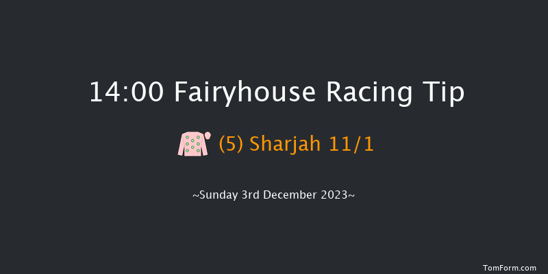 Fairyhouse 14:00 Novices Chase 20f Sat 2nd Dec 2023