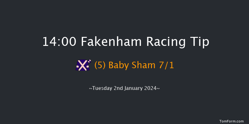 Fakenham 14:00 Handicap Hurdle (Class 5) 23f Tue 19th Dec 2023