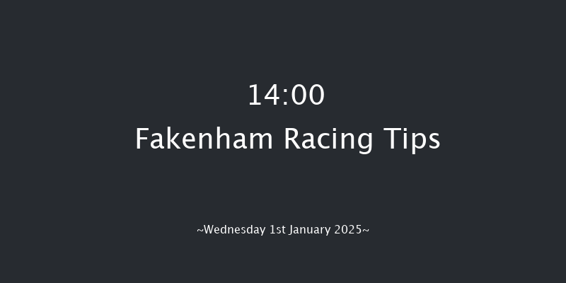 Fakenham  14:00 Handicap Chase (Class 5) 21f Sun 22nd Dec 2024