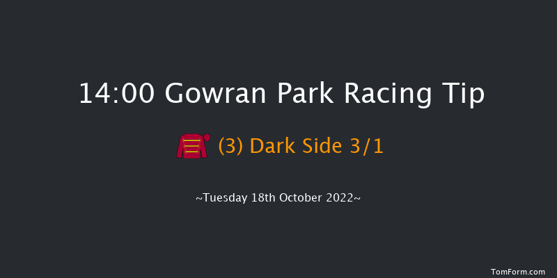 Gowran Park 14:00 Maiden 8f Sat 1st Oct 2022