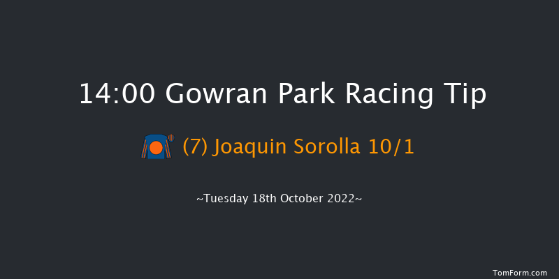 Gowran Park 14:00 Maiden 8f Sat 1st Oct 2022