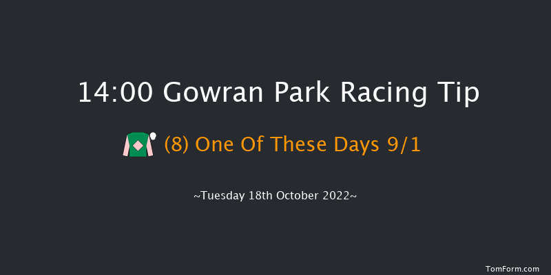 Gowran Park 14:00 Maiden 8f Sat 1st Oct 2022