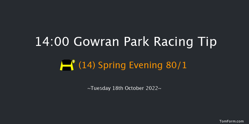 Gowran Park 14:00 Maiden 8f Sat 1st Oct 2022