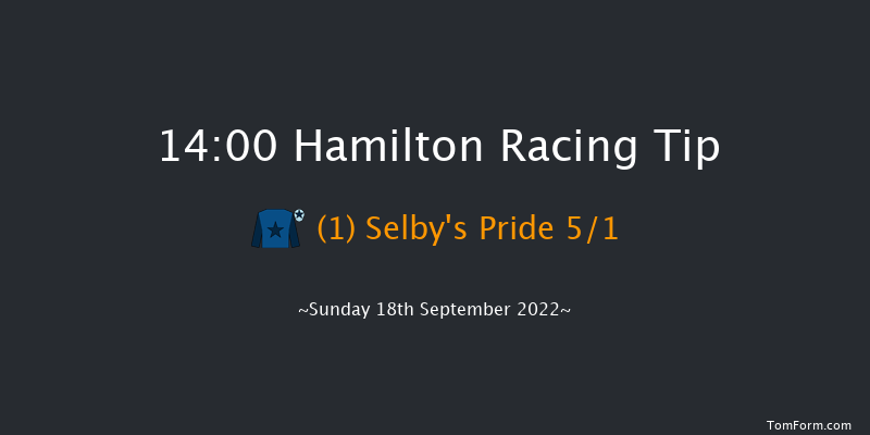 Hamilton 14:00 Handicap (Class 4) 6f Wed 31st Aug 2022