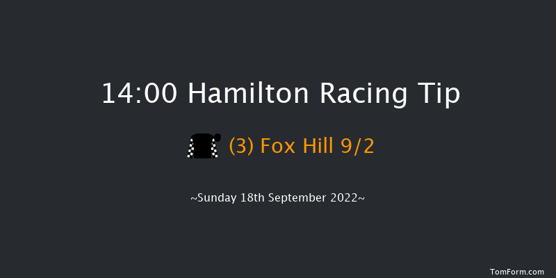 Hamilton 14:00 Handicap (Class 4) 6f Wed 31st Aug 2022