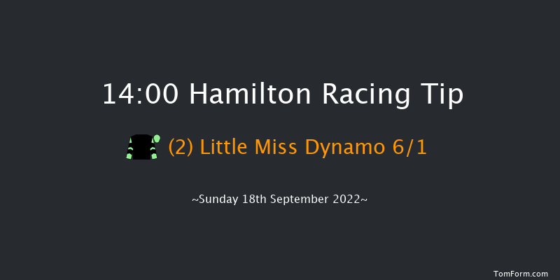 Hamilton 14:00 Handicap (Class 4) 6f Wed 31st Aug 2022