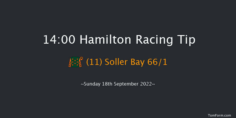 Hamilton 14:00 Handicap (Class 4) 6f Wed 31st Aug 2022