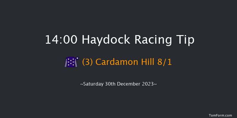 Haydock 14:00 Handicap Chase (Class 4) 26f Sat 23rd Dec 2023