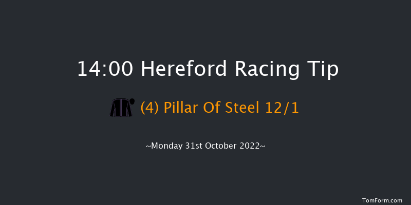 Hereford 14:00 Handicap Hurdle (Class 4) 16f Tue 11th Oct 2022