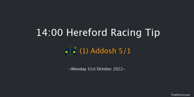 Hereford 14:00 Handicap Hurdle (Class 4) 16f Tue 11th Oct 2022