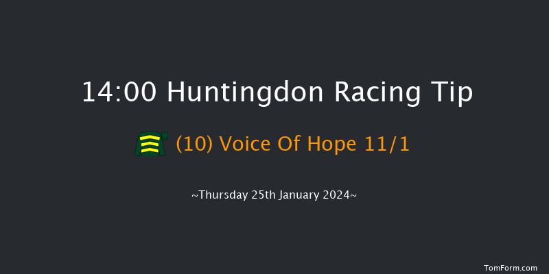 Huntingdon  14:00 Handicap Chase (Class 5)
24f Fri 12th Jan 2024