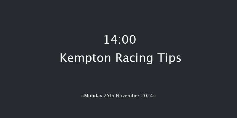 Kempton  14:00 Handicap Hurdle (Class 4) 24f Wed 20th Nov 2024