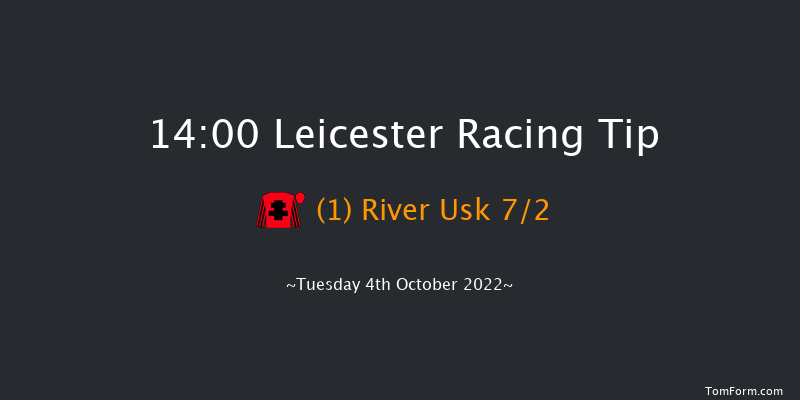 Leicester 14:00 Handicap (Class 6) 7f Tue 6th Sep 2022