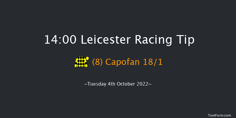 Leicester 14:00 Handicap (Class 6) 7f Tue 6th Sep 2022