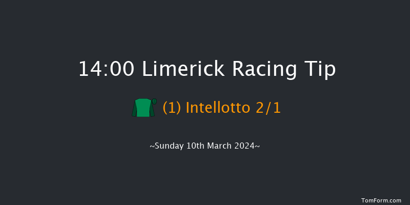 Limerick  14:00 Conditions Hurdle 16f Tue 30th Jan 2024