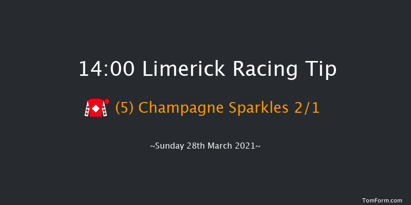 I.N.H. Stallion Owners EBF Maiden Hurdle (Div 2) Limerick 14:00 Maiden Hurdle 19f Sun 14th Mar 2021